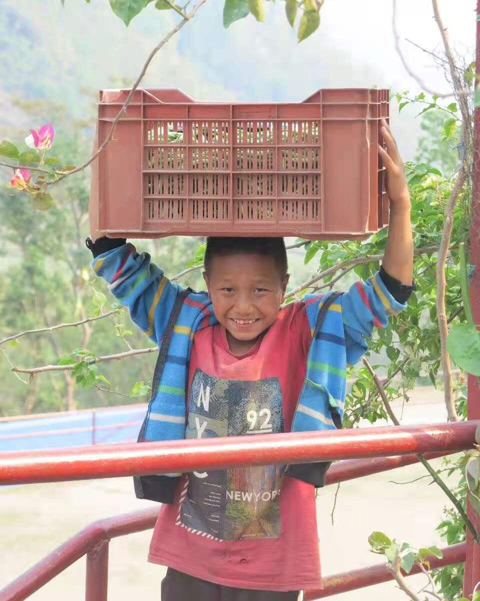 開心頂菜篇~in Lho Shyala. The child happily carried the  basket on his head.