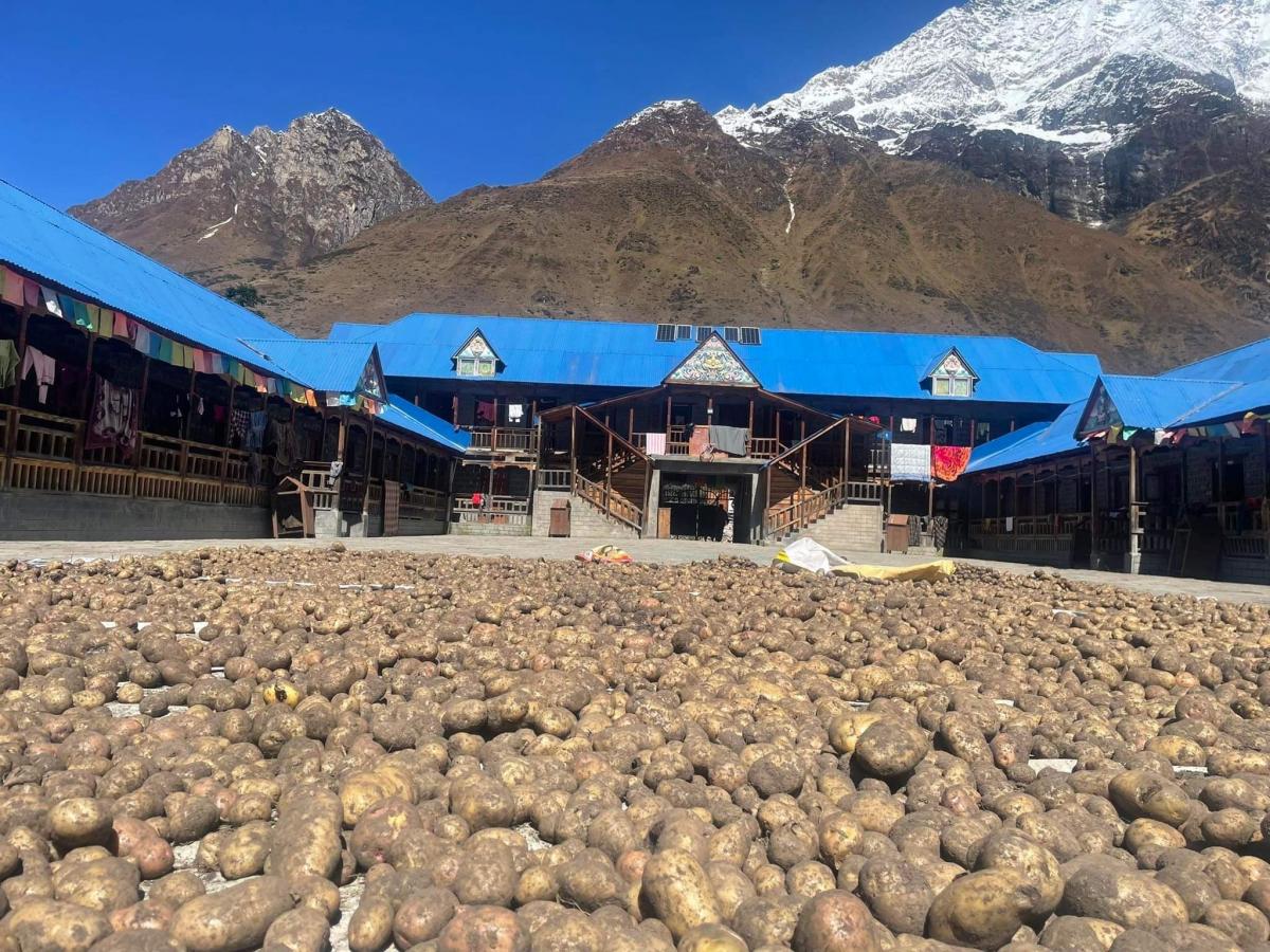 曬馬鈴薯 Potatoes can be stored for a lengthy period of time. Students sun dried potatoes on the playground and stored in root cellars for winter meals.