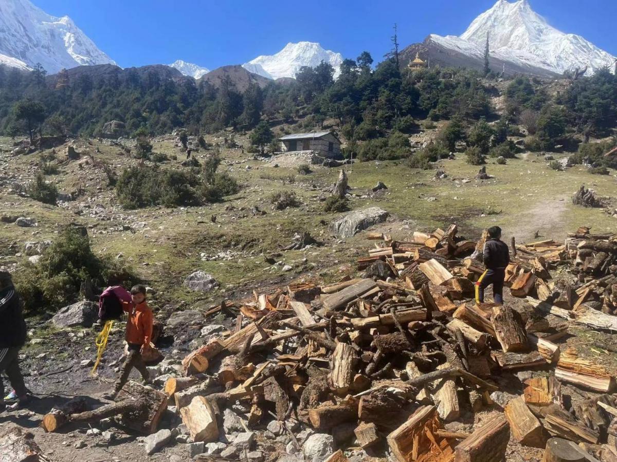搬運生火煮飯用的木柴 Carrying firewood is one of the routine activities as wood fuels are the source of energy used for cooking in Lho Shyala School.